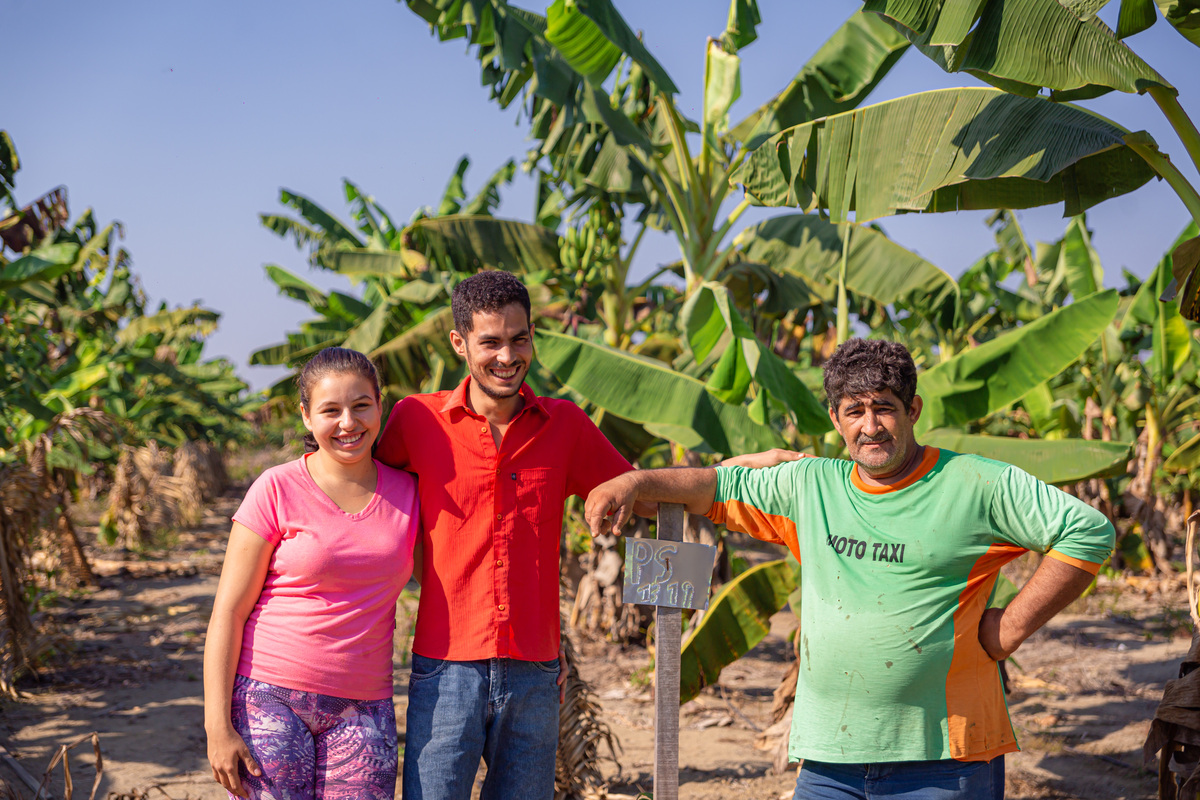 Agricultor Colhe Os Frutos Do Seu Reflorestamento Em Sistema