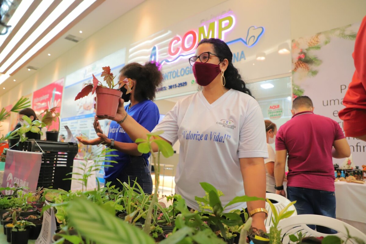 Empreendedorismo Feminino agita o Shopping na Serra neste fim de semana com  Feira Ecológica, Shows, Yoga e Oficinas Infantis Gratuitas 