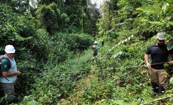 Secretaria de Estado do Desenvolvimento Ambiental