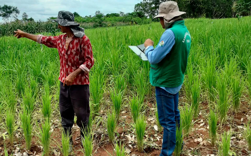 Ações de assistência técnica e rural em 2024 visam o fortalecimento de cadeias produtivas no Estado