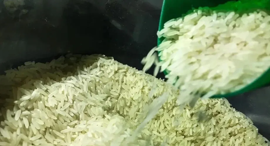 Governo avalia se fará venda direta de arroz importado, após pressão do mercado