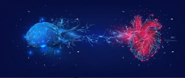 Cerebro e coração conectados