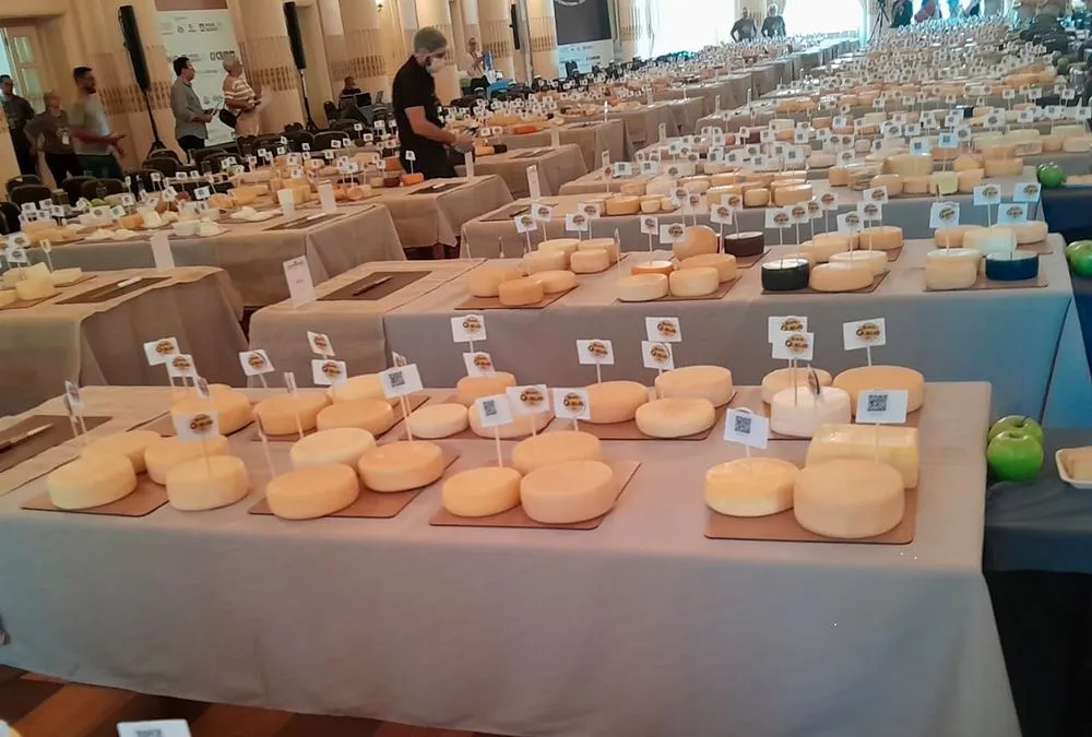 Técnicos do governo de Rondônia são jurados no maior concurso de queijos da América Latina