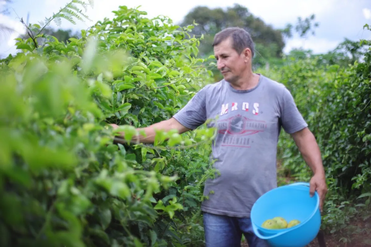 Programa nacional de crédito fundiário garante R$ 4,8 milhões de investimentos na agricultura familiar