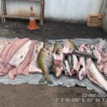 pescado-scaled