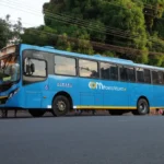Onibus