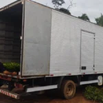 TRANSPORTE MUDAS DE CAFÉ CLONAL (8)