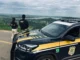 PRF prende um por homicídio, não pagadores de pensão e um ladrão em Rondônia, no fim de semana