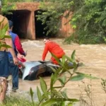 Engenheira morre em acidente em Cerejeiras2