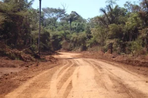 Ramal do Boto