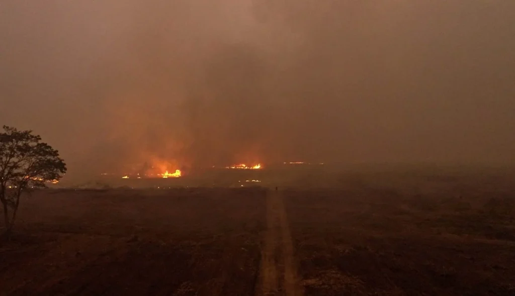 Com a ameaça do El Niño, MP quer evitar o ‘inferno’ vivido em 2024