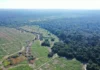Para o MP, zoneamento é ‘bússola do futuro’ de Rondônia e sua revisão precisa de critérios técnicos e participação popular