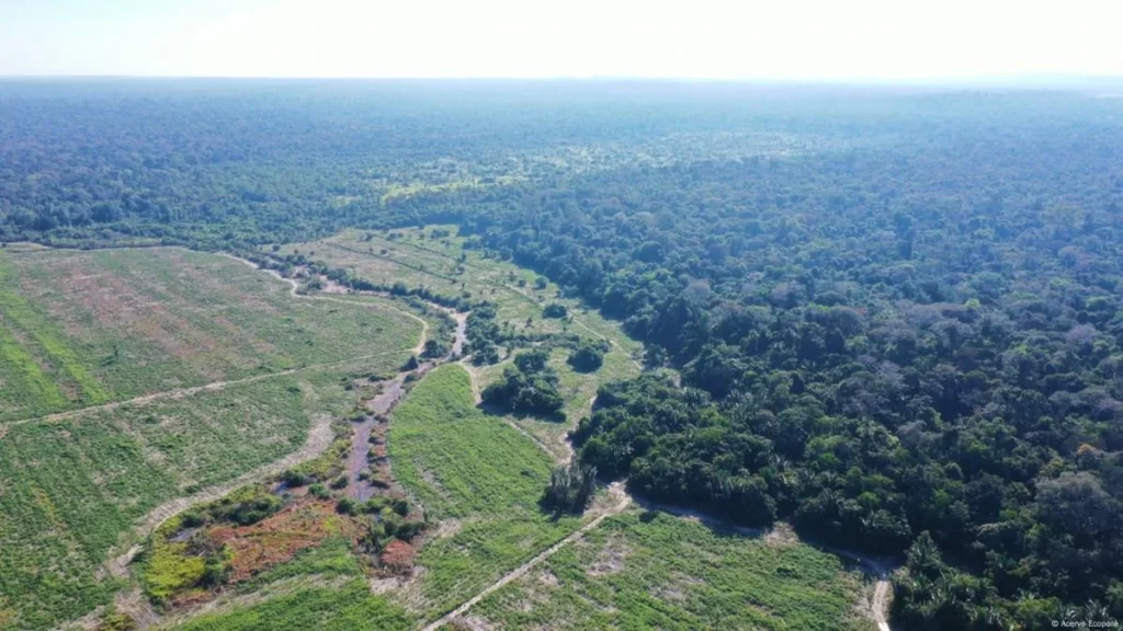 Para o MP, zoneamento é ‘bússola do futuro’ de Rondônia e sua revisão precisa de critérios técnicos e participação popular