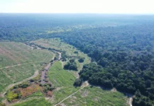 Para o MP, zoneamento é ‘bússola do futuro’ de Rondônia e sua revisão precisa de critérios técnicos e participação popular