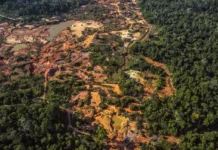 STF dá ultimato à União para acabar com garimpo ilegal na terra indígena Cinta Larga, em Rondônia