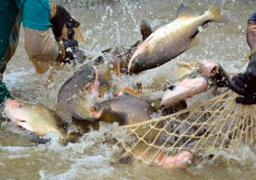 Tambaqui e produtos de Rondônia são destaque na Feira Internacional de Comércio