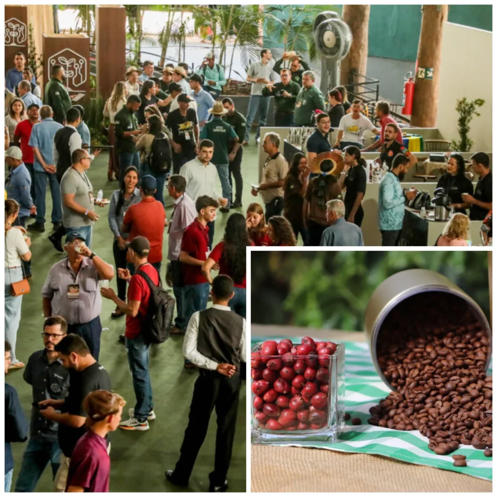 Concafé 2025 premia cafeicultores de Rondônia com mais de R$ 400 mil