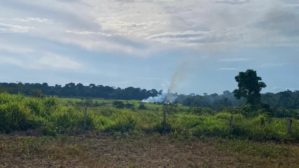 Justiça Federal suspende desintrusão e garante permanência de famílias na Terra Uru-Eu-Wau-Wau