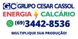cassol
