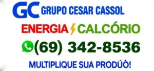 1094bbcb-8547-4af5-81b6-322a04e98b95