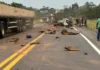 BR-364, a ‘rodovia da morte’ agora faz uma empresa milionária, enche cemitérios e joga famílias no luto