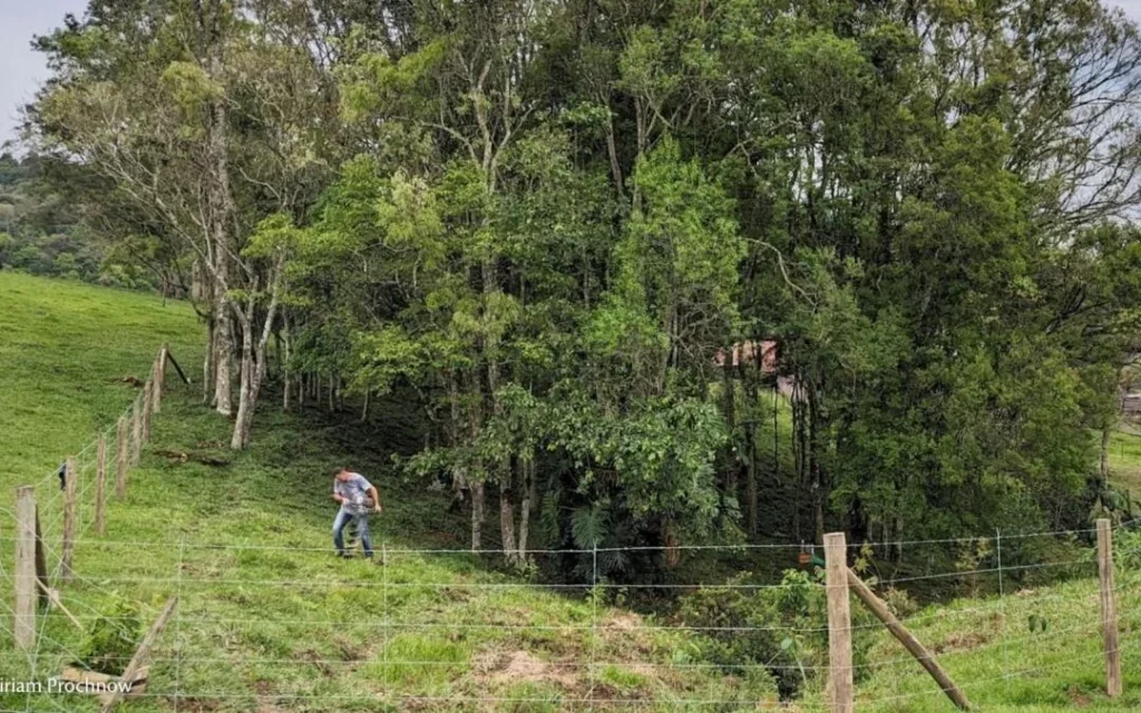 MPF propõe converter dinheiro de multas em assistência técnica ao produtor rural, para proteger o meio ambiente