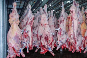 Exportacao-Carne-Frigorifico-Janeiro-2024-foto-Esio-Mendes-3-870×580