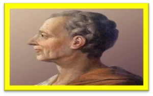 image (25)
