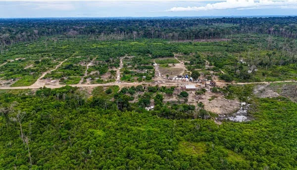 Invasores destruíram mais de mil hectares da Estação Ecológica de Samuel; desocupação vai continuar