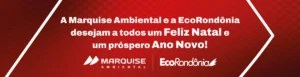 970px X 250px