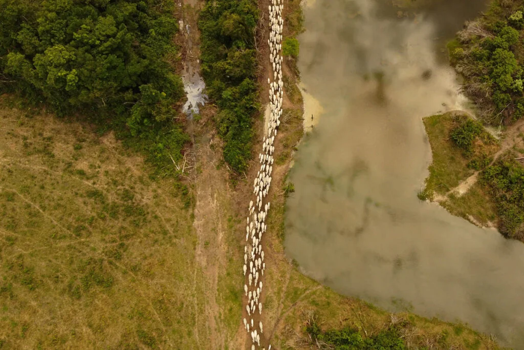 Resex Jaci-Paraná e a expansão da apropriação privada sobre áreas protegidas na Amazônia – Delson Xavier*