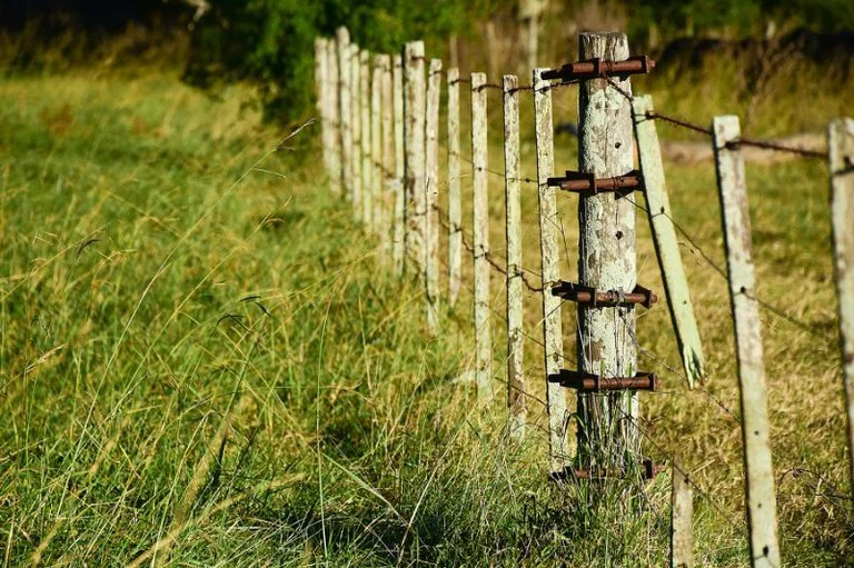MPF dá 30 dias de prazo para Incra concluir laudos em área invadida da fazenda Gladys, em Nova Brasilândia