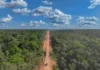 Governo habilita segunda empresa para asfaltamento do trecho do meio da BR-319