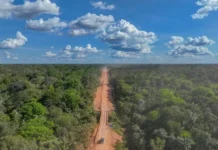 Governo habilita segunda empresa para asfaltamento do trecho do meio da BR-319