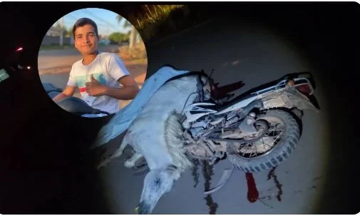 Jovem de 17 anos pilotando moto bate contra cavalo e os dois morrem, na Rodovia do Boi, em Corumbiara
