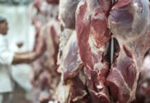 Brasil deve atingir cota de exportação de carne para a China em agosto, e preço do boi gordo cai