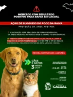 wpcm_987img