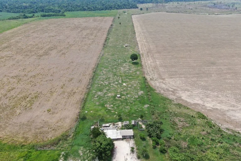 MPF processa produtores de soja, acusados de contaminação dos indígenas Puruborá, em Seringueiras