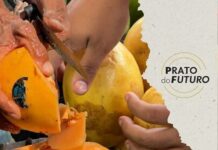Do campo à geladeira: por que há tanto desperdício de alimentos no Brasil, enquanto milhões passam fome