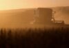 Leilões de propriedades rurais disparam no Brasil com aumento da inadimplência no campo