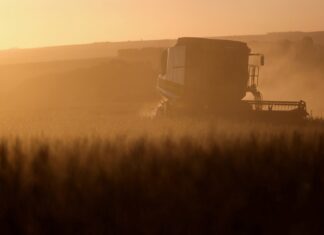 Leilões de propriedades rurais disparam no Brasil com aumento da inadimplência no campo