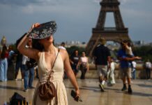 Europa enfrenta onda de calor com mortes, temperaturas recordes e impactos na economia