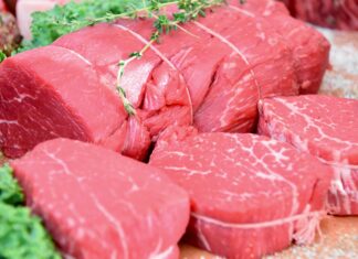 Veto à carne do Brasil: por que a União Europeia quer mais controle sobre antibióticos na pecuária