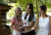 Pequenos insetos, grandes negócios: mulheres transformam hobby por abelhas em fonte de renda no ES