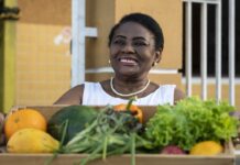 O que acontece com a comida que sobra? Conheça projetos que reduzem desperdício, fome, poluição e prejuízos no agro