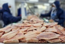 Tarifaço de Trump: maior associação de pescados dos EUA defenderá produto brasileiro em audiência