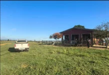 Polícias Civil e Militar saem para capturar foragido da Justiça, mas prendem dois, na zona rural de Cabixi