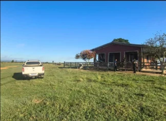 Polícias Civil e Militar saem para capturar foragido da Justiça, mas prendem dois, na zona rural de Cabixi