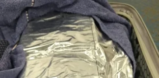 Em dois dias, PF apreende 26 quilos de maconha, no aeroporto de Porto Velho