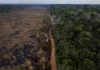 Tangido pelo MPF, estado tem 4 meses para começar a proteger APA do Rio Pardo, antigo território da Flona do Bom Futuro